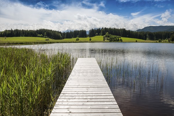 Jetty, Attlesee, near Nesselwang, Oberallgäu, Allgäu, Swabia, Bavaria, Germany, Europe