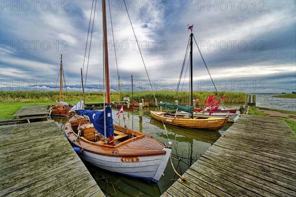 Sailing boats in Althagen harbour on the Saaler Bodden, evening mood, Ahrenshoop,