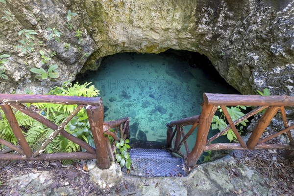Scenic Cenote Casa Tortuga near Tulum and Playa Del Carmen, a popular tourist attraction for local