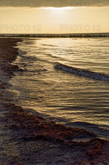 Sunset on the Baltic Sea beach, Wustrow beach in the evening light with clouds, evening mood,