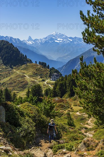 Hiking on the Moranenweg, Riederalp, tourism, hiking, hike, blue sky, Matterhorn, Aletsch Arena,