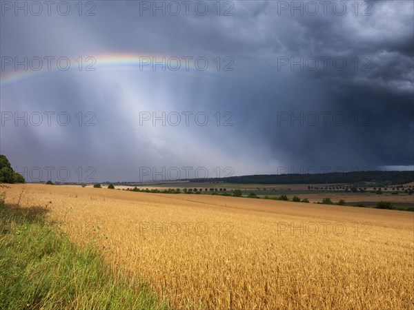 Dark dramatic storm clouds and rainbow over wheat field in the evening light, Burgenlandkreis,