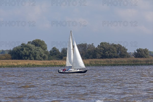 Sailing boat near Glückstadt, Elbe, Schleswig-Holstein, Germany, Europe