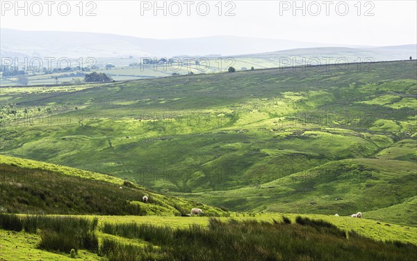 Farms over North Pennines, Cumbria, Durham, Northumberland, North Yorkshire, England, United