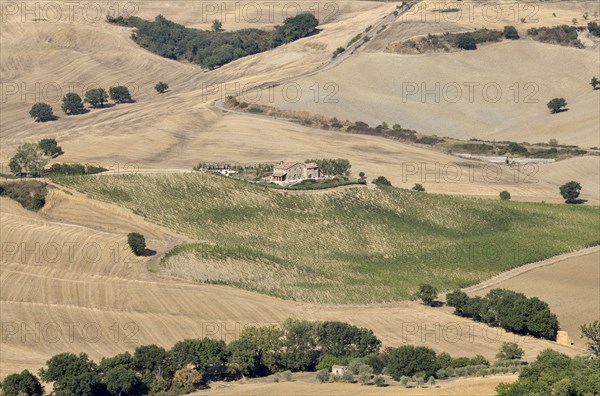 Country estate near Montepulciano, Tuscany, Italy, Europe