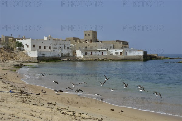 Townscape, Mirbat, Dhofar Region, Orient, Oman, Asia