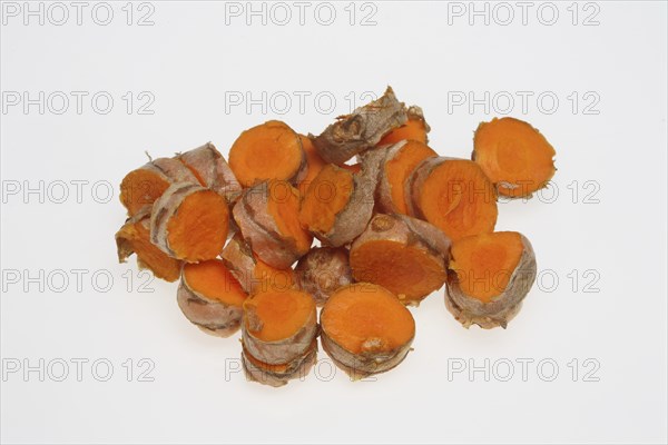 Turmeric (Curcuma longa) or curcume, yellow ginger, saffron root, turmeric, plant species of the