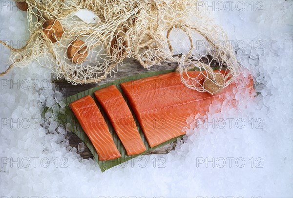 Salmon (Salmo) lying on a banana leaf and lots of ice, fishing net as decoration, studio shot