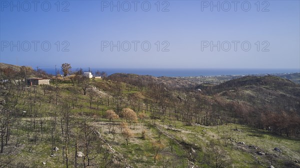 Drone image, above Kiotari, view of a hilly, burnt landscape with the sea in the background on a