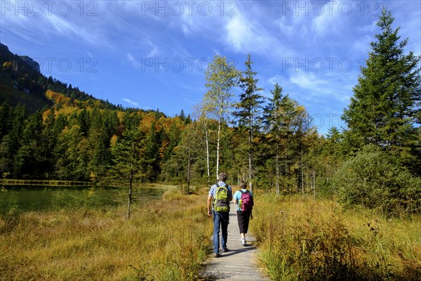 Hikers at the Frillensee near Inzell, Chiemgau, Upper Bavaria, Bavaria, Germany, Europe
