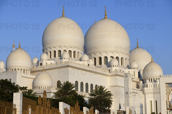 Sheikh Zayed Mosque, Domes, Abu Dhabi City, Emirate of Abu Dhabi, United Arab Emirates, Asia