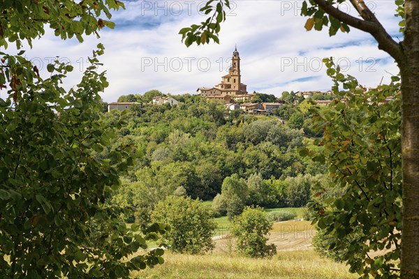 Piovà Massaia, Province of Asti, Monferrato, Piedmont, Italy, Europe