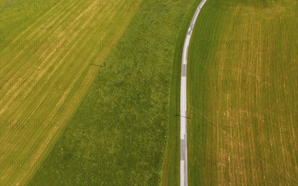 Drone shot, road leads through mown meadows, from above, structure, agriculture, agricultural