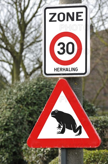 Warning sign for migrating amphibians, toads crossing the road during the annual migration in