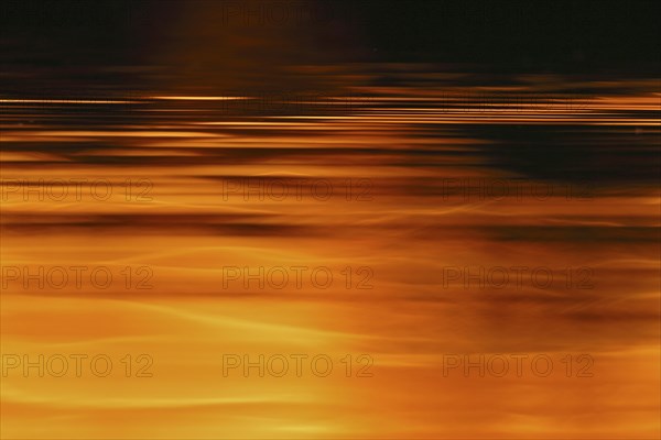 The sun's play of light in the water at sunset on the Trebel River, Peene Valley River Landscape