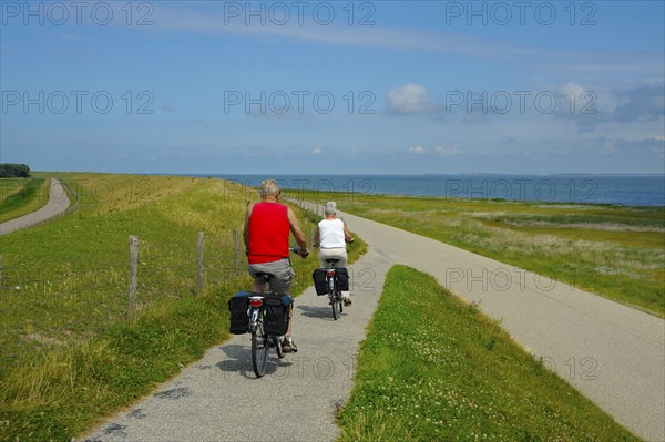 Cyclist on the dike, Texel Island, North Sea, North Holland, Netherlands