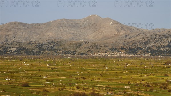 Fields, green meadows, Dikte massif, spring, Lassithi plateau, Lassithi, East Crete, island of