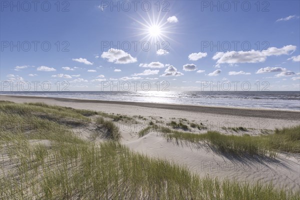 Dunes of Texel National Park, Nationaal Park Duinen van Texel on the North-Holland island of Texel