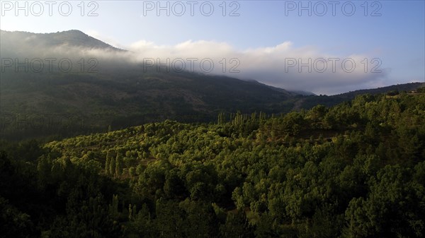 Small town on green hill, Polizzi Generosa, hostoric buildings, churches, Madonie National Park,