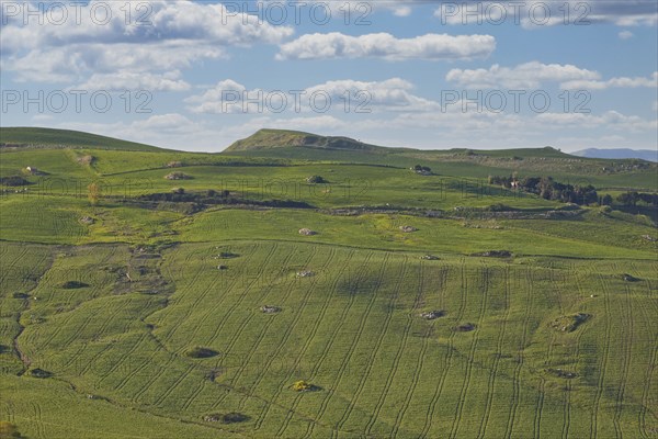 Green hills, blossoming trees, fields, sky changed, Madonie National Park, spring, Sicily, Italy,