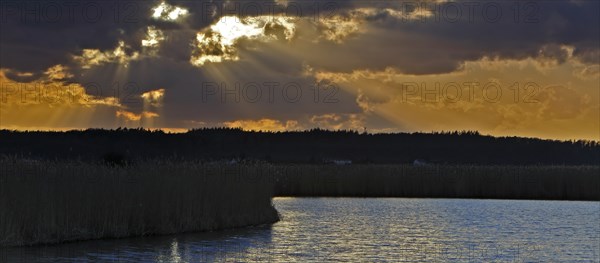 Sunbeams through the clouds at sunset on the Trebel River, Peene Valley River Landscape nature park