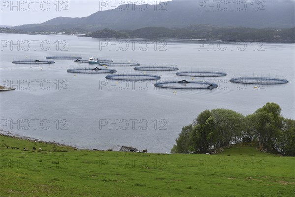 Salmon farming in Norway
