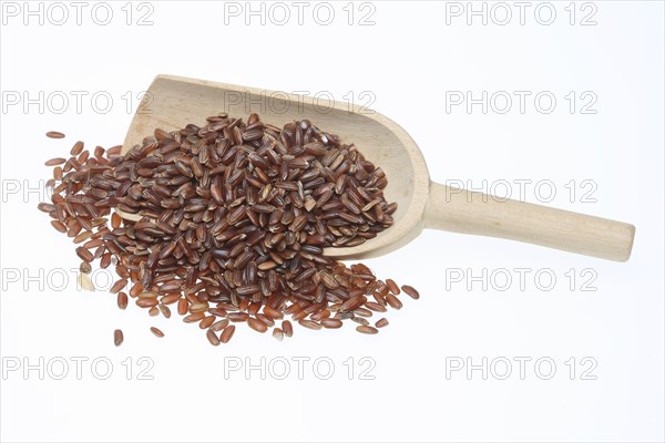 Red rice, Camargue rice from France, rice variety with a red bran layer, usually offered as brown