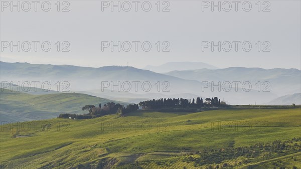 Fog, ranges of hills, green meadows, small woods, Madonie National Park, spring, Sicily, Italy,