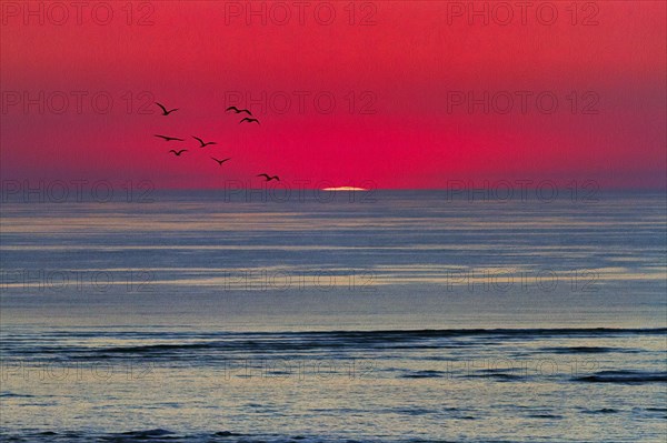 Refraction and reflection at sunset on the horizon, flock of birds, haze, Bassin d'Arcachon, Bay of