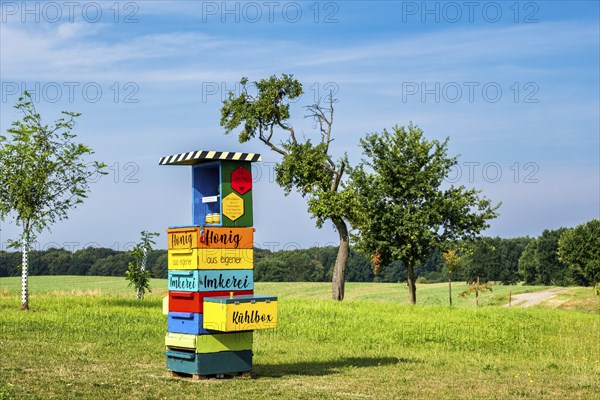 Honey stand, Hinrichsberg, Sietow municipality, Mecklenburg-Western Pomerania, Germany, Europe