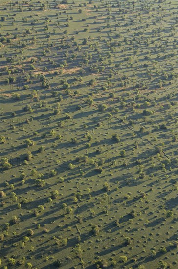 Aerial view, landscape in morning light, Bangweulu swamps, Luapula Province, Zambia, Africa