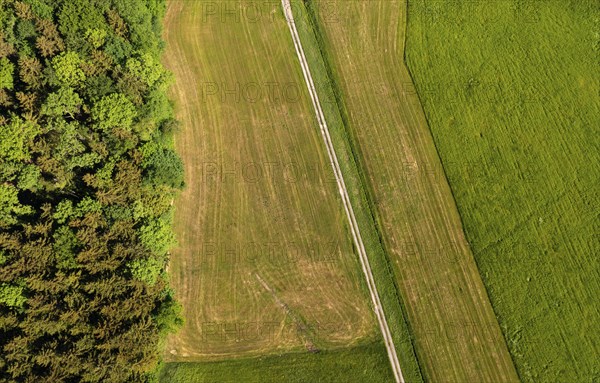 Drone shot, meadow path leads through mown meadows, from above, structure, agriculture,