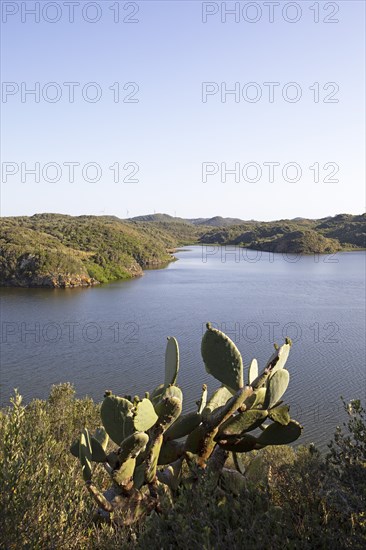 S'Albufera des Grau nature Park, Menorca