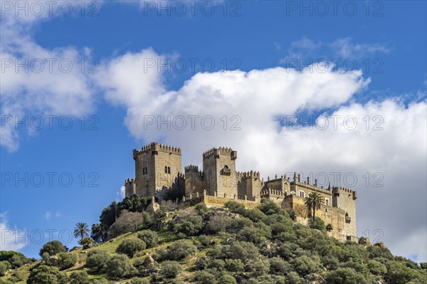 The castle Castillo de Almodóvar del Río, Andalusia, Spain, Europe