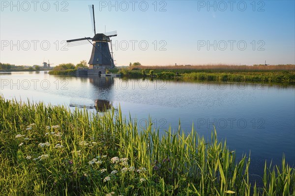 Netherlands rural lanscape with windmills at famous tourist site Kinderdijk in Holland on sunset