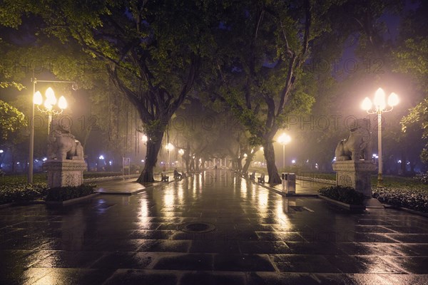 Guangzhou People's Park with mist fog at night. Guangzhou, China, Asia