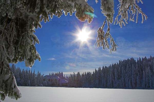 Frozen Mummelsee in winter, Bühlertal, Black Forest, Baden-Württemberg, Germany, Europe