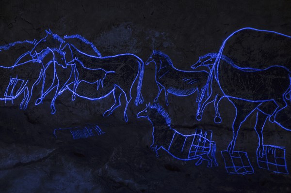 Replica of part of the Lascaux cave showing with black light prehistoric animals incised in the