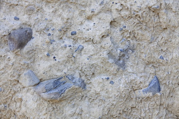 Close up of composed sedimentary sandstone rock at the Earth pyramids, Hoodoos in the Bow Valley,
