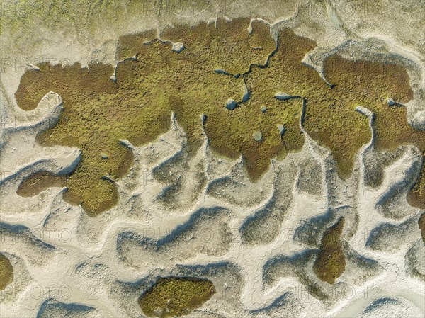 Network of dry channels and streams at low tide, in the marshland of the Bahía de Cádiz, aerial
