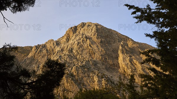 Morning light, Gingilos, trees, cloudless blue sky, Samaria Gorge, Samaria, gorge, national park,