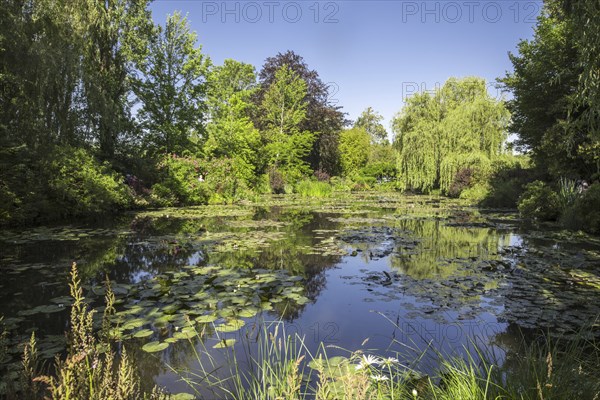 The Water Lily Pond in summer, garden at the home of Impressionist painter Claude Monet in Giverny,