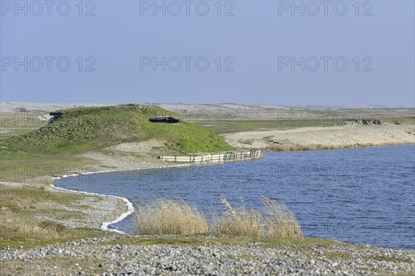 Hunting blind, hut along lake for shooting ducks, Bay of the Somme, Picardy, France, Europe