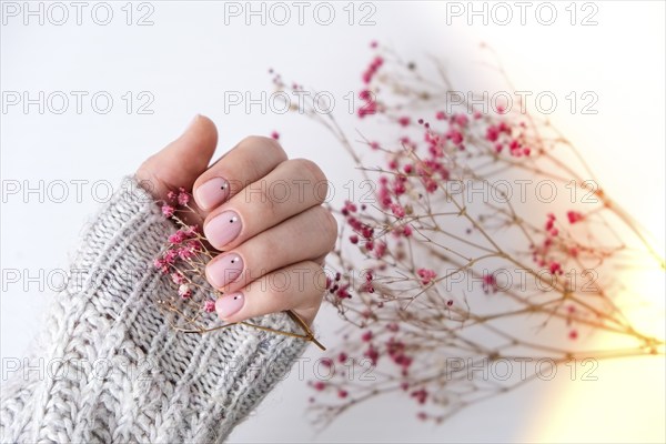 Woman hands with beautiful nude manicure holding delicate pink Gypsophila or baby's breath flowers.