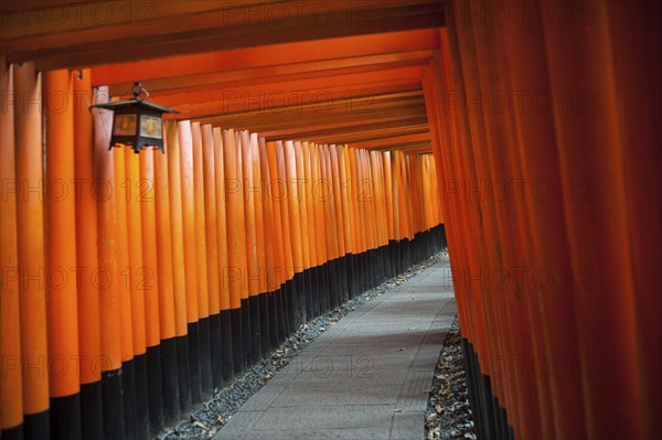 24.12.2017, Kyoto, Japan, Asia, An interior view of one of the torii pathways leading to Fushimi