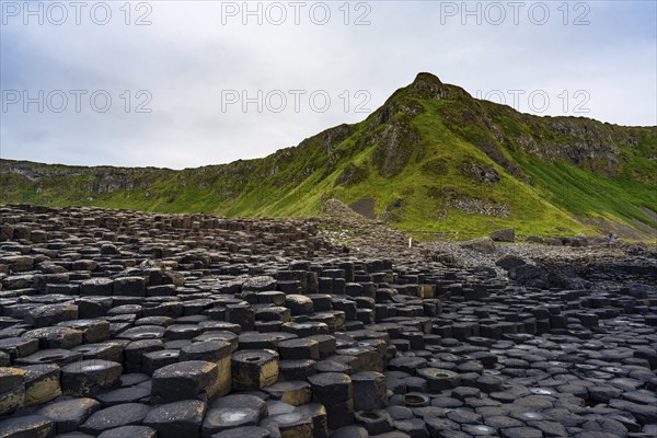 A view of the many volcanic basalt columns of the Giant's Causeway in Northern Ireland