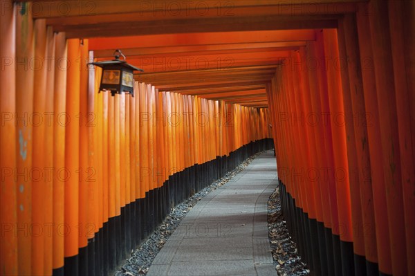 24.12.2017, Kyoto, Japan, Asia, An interior view of one of the torii pathways leading to Fushimi