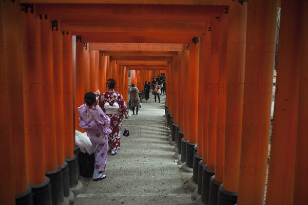 24.12.2017, Kyoto, Japan, Asia, An interior view of one of the torii pathways leading to Fushimi