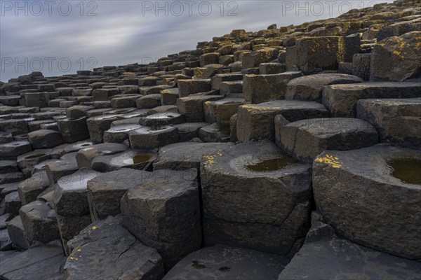 A view of the many volcanic basalt columns of the Giant's Causeway in Northern Ireland