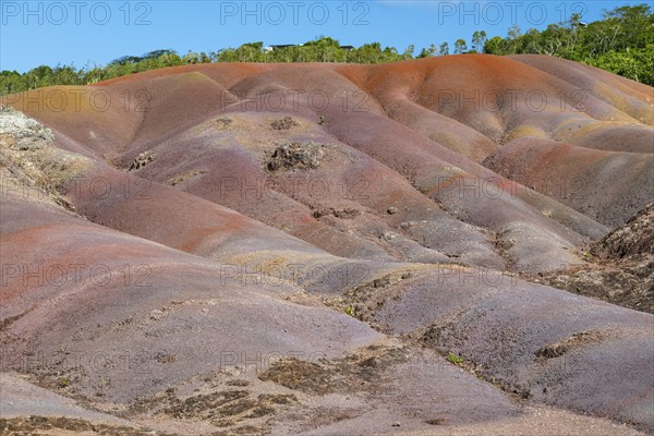 Seven Coloured Earth, 7th coloured earth, Minerals, Geopark, Terres des couleurs, Chamarel, Indian